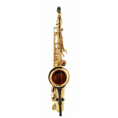 Yamaha YTS-480 Tenor Sax Set