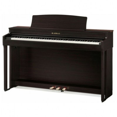Kawai CN-301 R