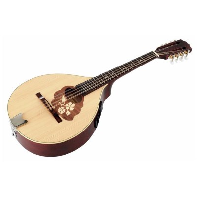 Thomann Europe Mandola M1088-P/LH