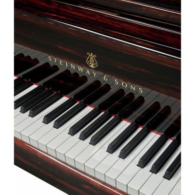 Steinway & Sons A-188 Makassar