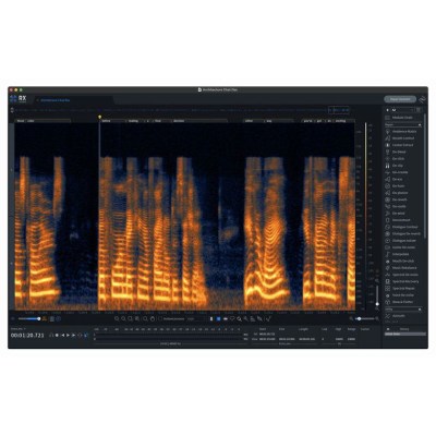 iZotope RX 10 Advanced