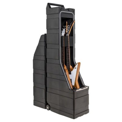 2 guitar clearance case