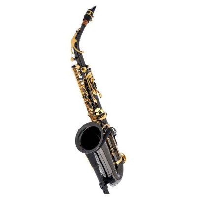 Thomann TAS-180 Black Alto Sax Set II