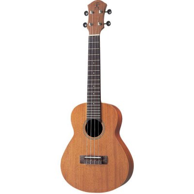 aNueNue Dream C30 Concert