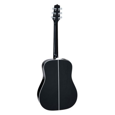 Takamine FT341