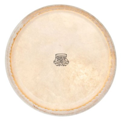 Thomann 10" Conga kangaroo head