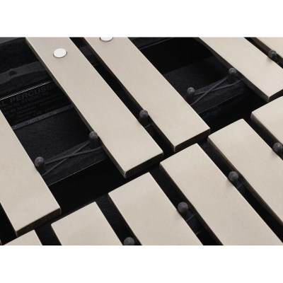 Studio 49 RGST/K/V Glockenspiel A=442Hz