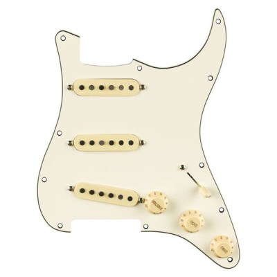 Fender PWPG 59 Strat RWRP WBW