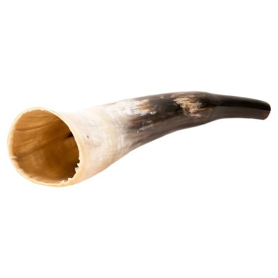 Thomann Cow Horn polished