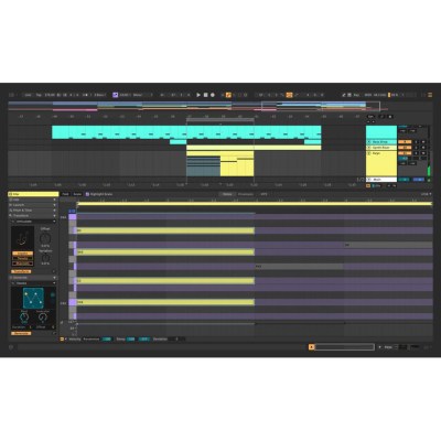 Ableton Live 12 Suite
