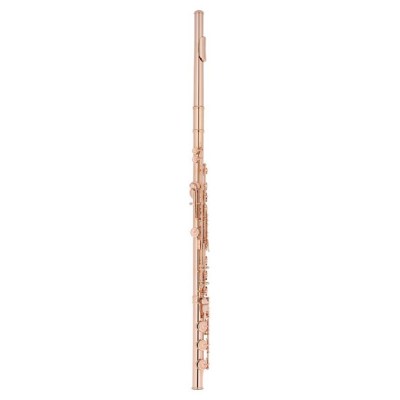 Altus AS-1607 ERB 18K GP Flute