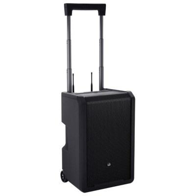LD Systems ANNY 10 HHD 2 B5