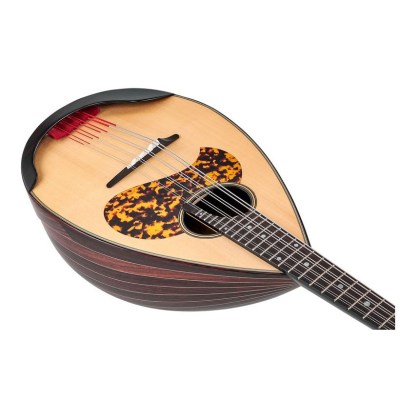 Atsushi Miyano Round Back Mandola MD-1 RG