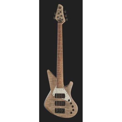 Torillo Onyx 5 Gray Maple