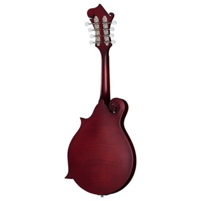 Epiphone F-5 Studio WR Satin