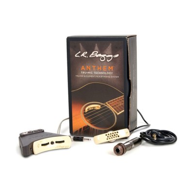 L.R.Baggs Anthem SS