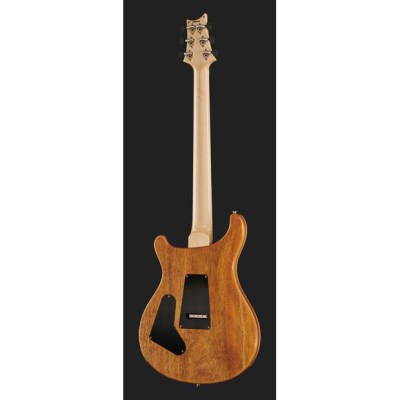 PRS Custom 24 Floyd 10 Top CH 2024