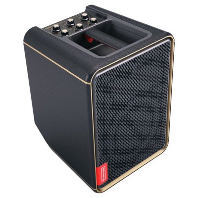 Positive Grid Spark Edge BK Bundle w/Battery
