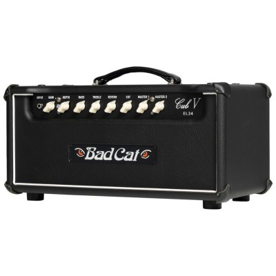 Bad Cat Cub V EL34 Head