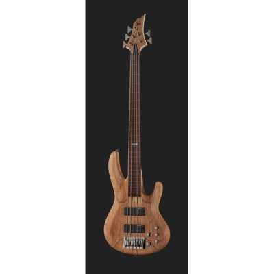 ESP LTD B205SM FL Natural S Bundle