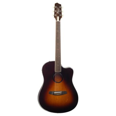 L.R.Baggs AEG 1 E- Acoustic Sunburst