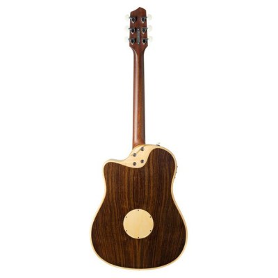 L.R.Baggs AEG 1 E- Acoustic E Natural