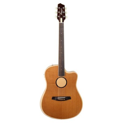 L.R.Baggs AEG 1 E- Acoustic E Natural