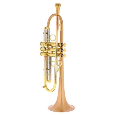 Taylor Trumpets Piranha Bb-Trumpet