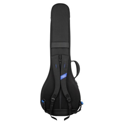 Reunion Blues Expedition Banjo Case