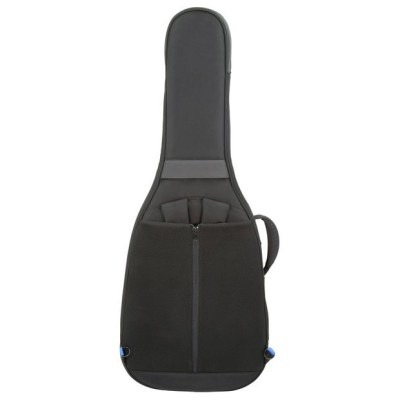 Reunion Blues Expedition Semi-Hollow Gigbag
