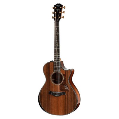 Taylor PS12ce Honduran Rosewood