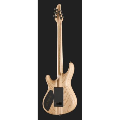 Mayones Guitars Regius 4EVER 6 B27
