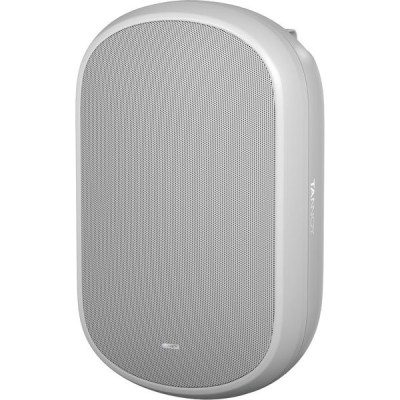Tannoy Dvs 801-WH