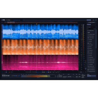 iZotope RX 12 Adv UG Elem Suite