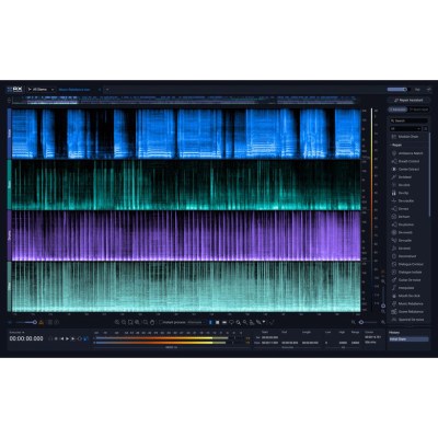iZotope RX 12 Adv UG Elem Suite