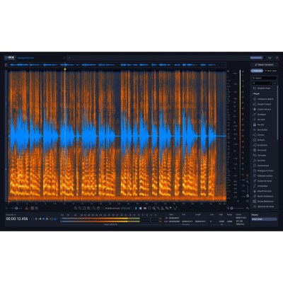 iZotope RX 12 Advanced