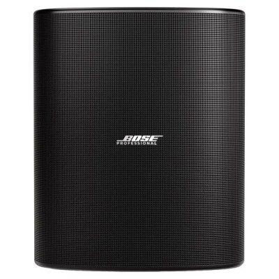 Bose Professional DesignMax DM12SE black