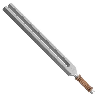 Sela Tuning Fork Alu platonic year