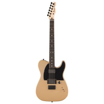 Fender Jim Root Telecaster EB SHG