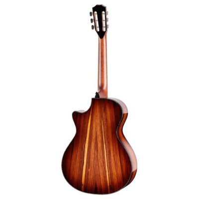 Taylor PS12ce 12-Fret Next Generation