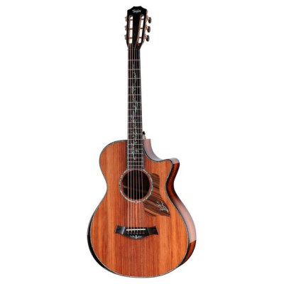 Taylor PS12ce 12-Fret Next Generation