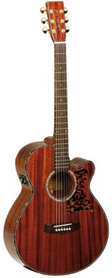 Tanglewood TW47E