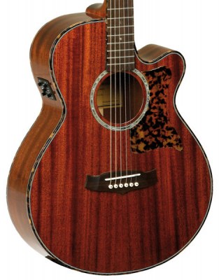 Tanglewood TW47E