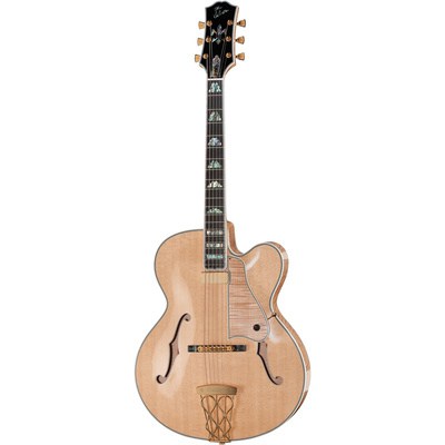 Gibson Citation NA