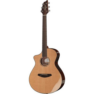 Breedlove Solo Concert LH