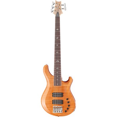 PRS Gary Grainger 5 String HO RW