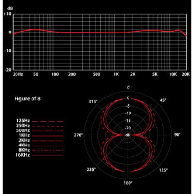 SE Electronics VR1 Voodoo