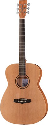 Tanglewood TWR O