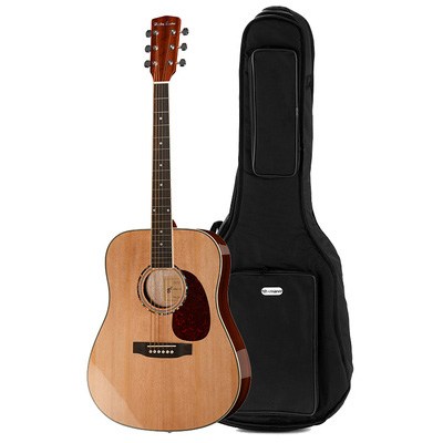 Harley Benton D-120NT Bundle