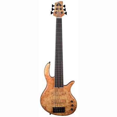 Elrick Gold E-volution 6 BO Spalted